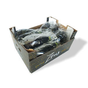 Caja de berenjenas de tamaño median de la marca Zeus
