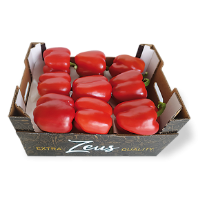 Frutas y hortalizas - Pimiento California rojo Zeus